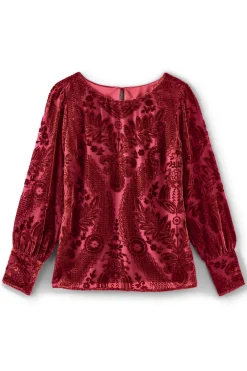 Vanetta Velvet Top